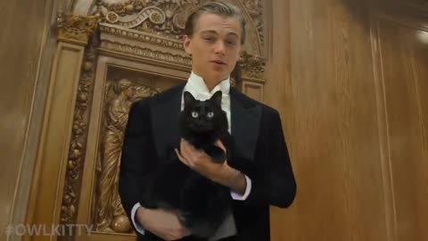 Titanic with a Cat