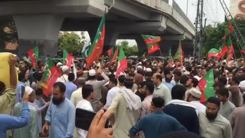 پشاور پریس کلب کے باہر لا الہ الااللہ کی protest Peshawar