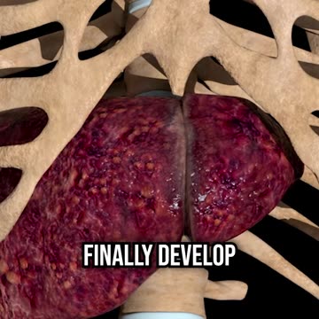 How to Train Your Dog in 5 Easy Steps