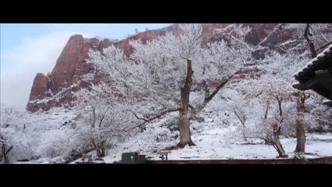 WHITE CHRISTMAS Christmas Jazz Sax featuring the Alto Sax of Greg Vail.