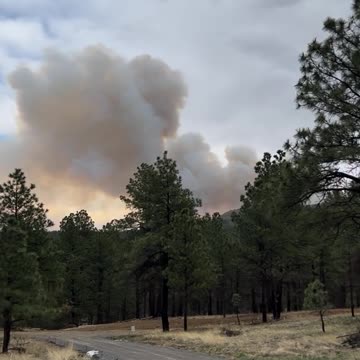 New Mexico evacuations underway due to wildfire