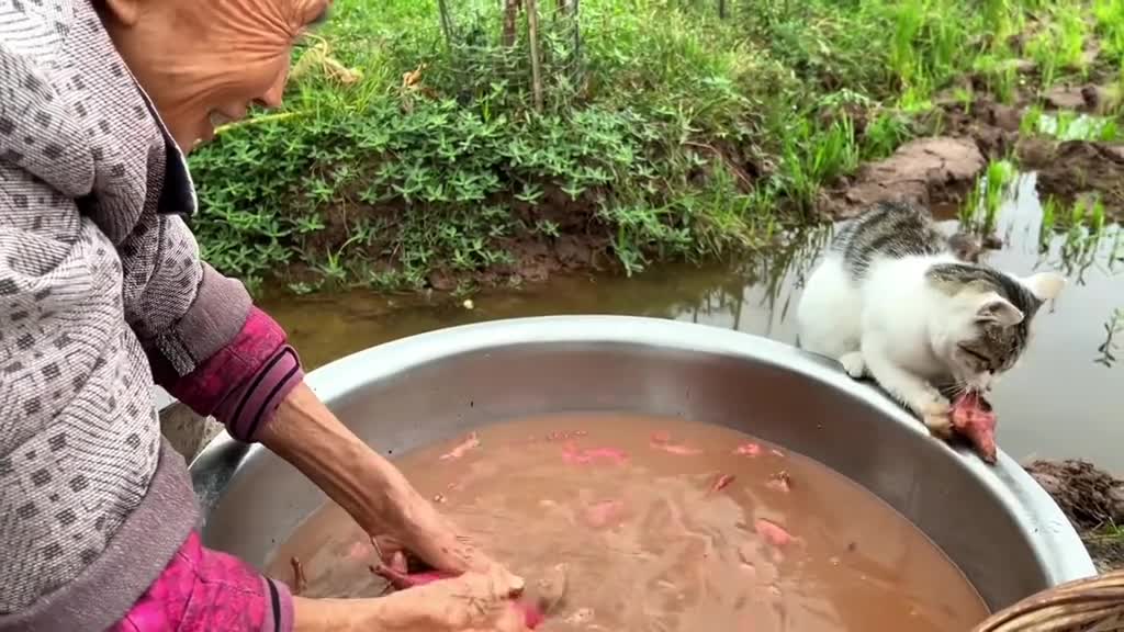 Grandma, I want to eat a sweet potato too 🥰