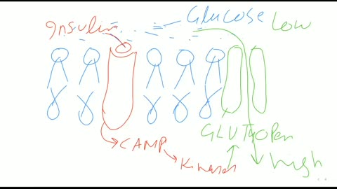 Biology A Level topic Homeostasis