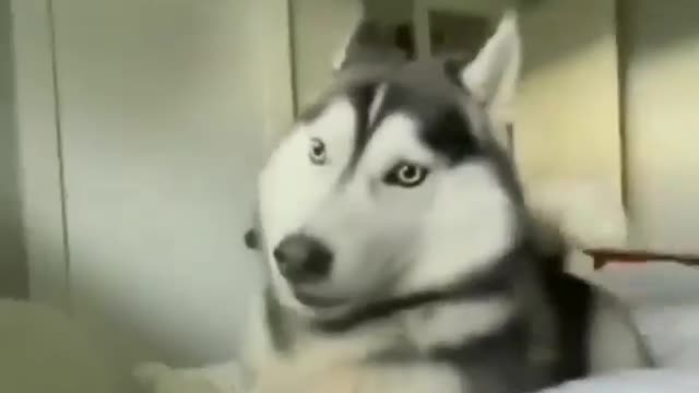 Here I am