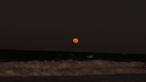 Blood Moon