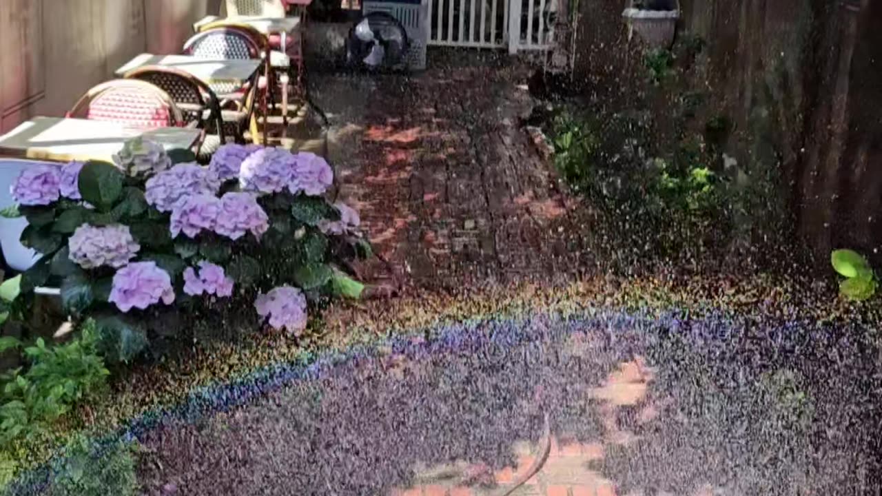 rainbow