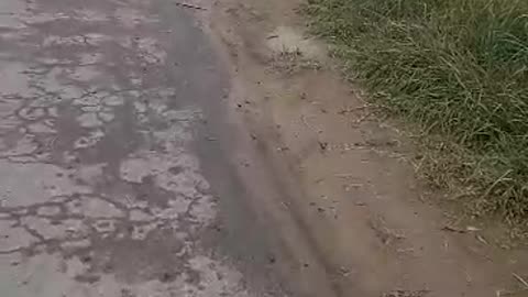 A beautiful rainy day in my village