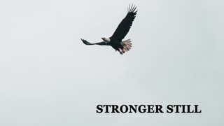 Pray USA, 12/7/22 Stronger Still