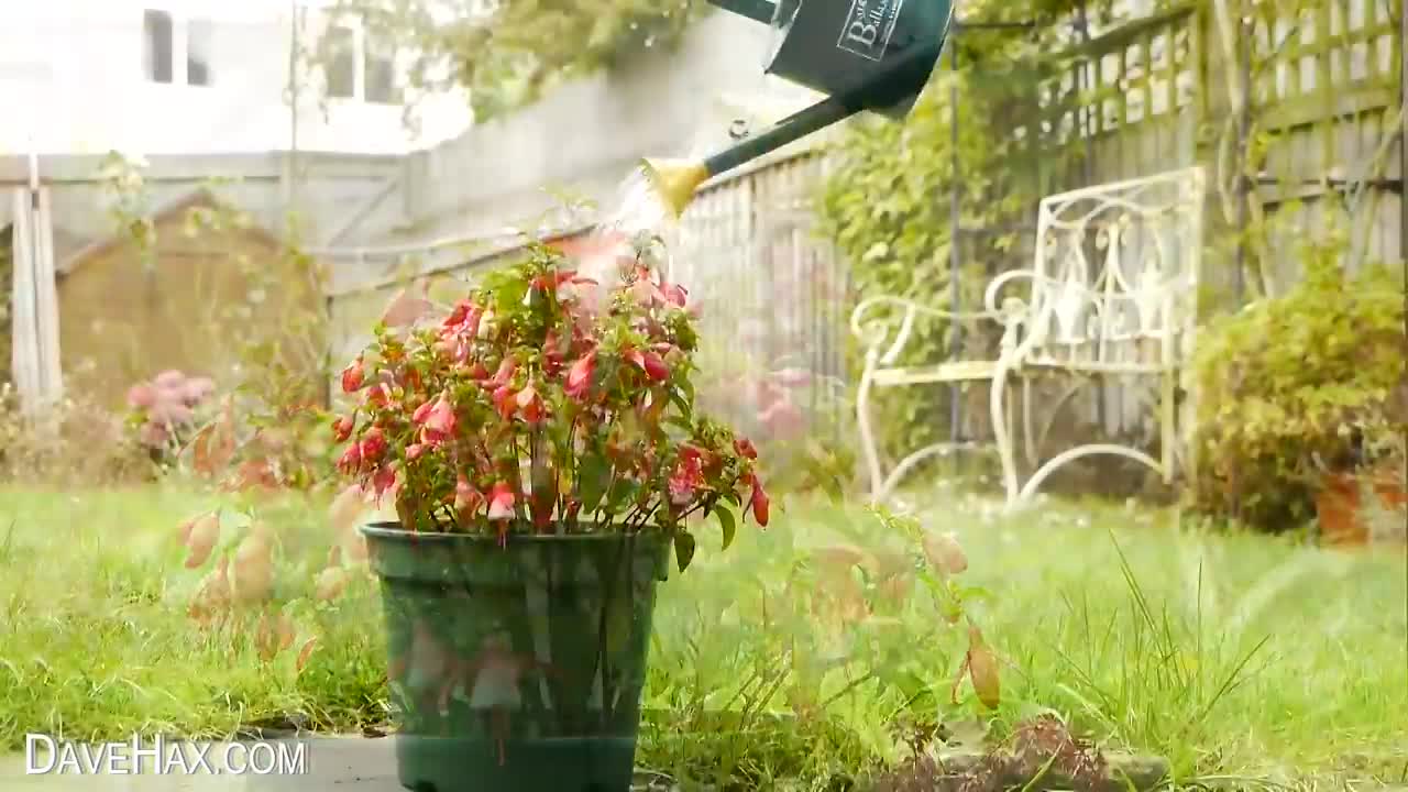 Summer Life Hacks You Must See