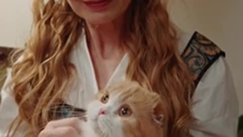 Cats love