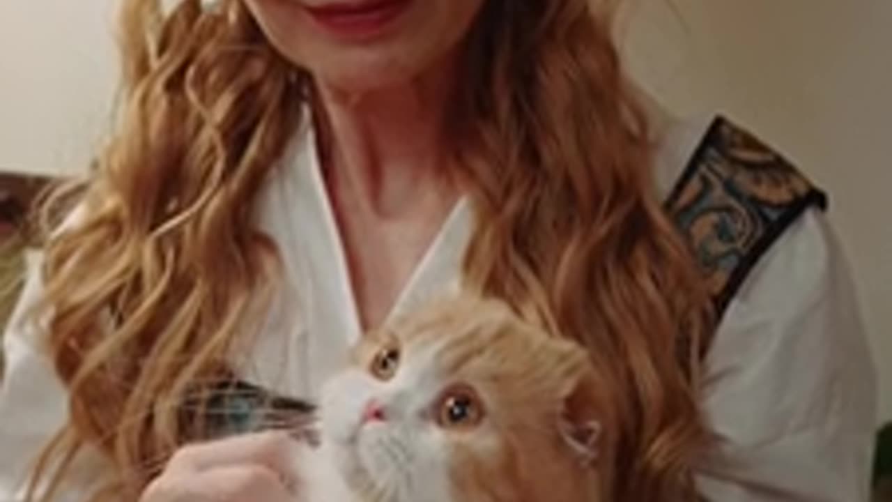 Cats love