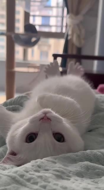 Happy Sunday morning 😊😊