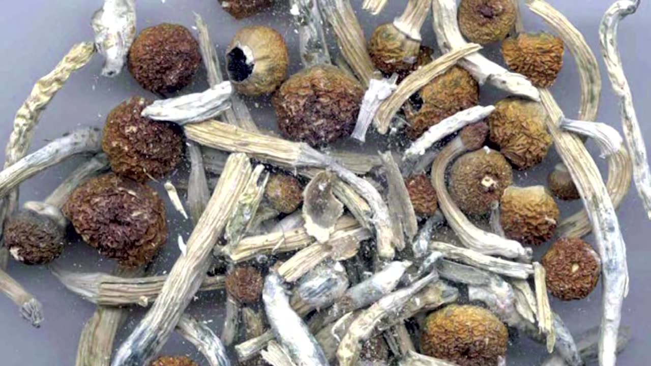 Off-duty pilot used 'magic mushrooms', court hears