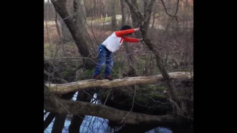 Why Trees Aren't Wide Enough To Use As A Bridge