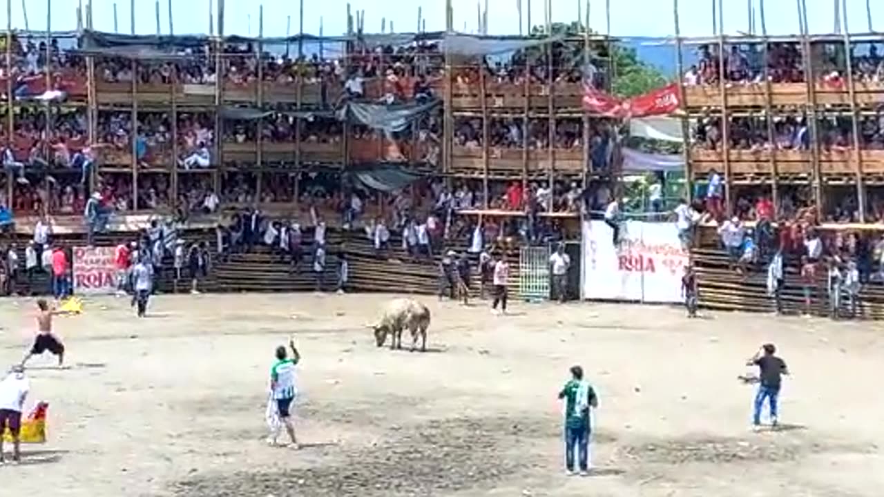 Stadium collapses killing at least four in Colombia