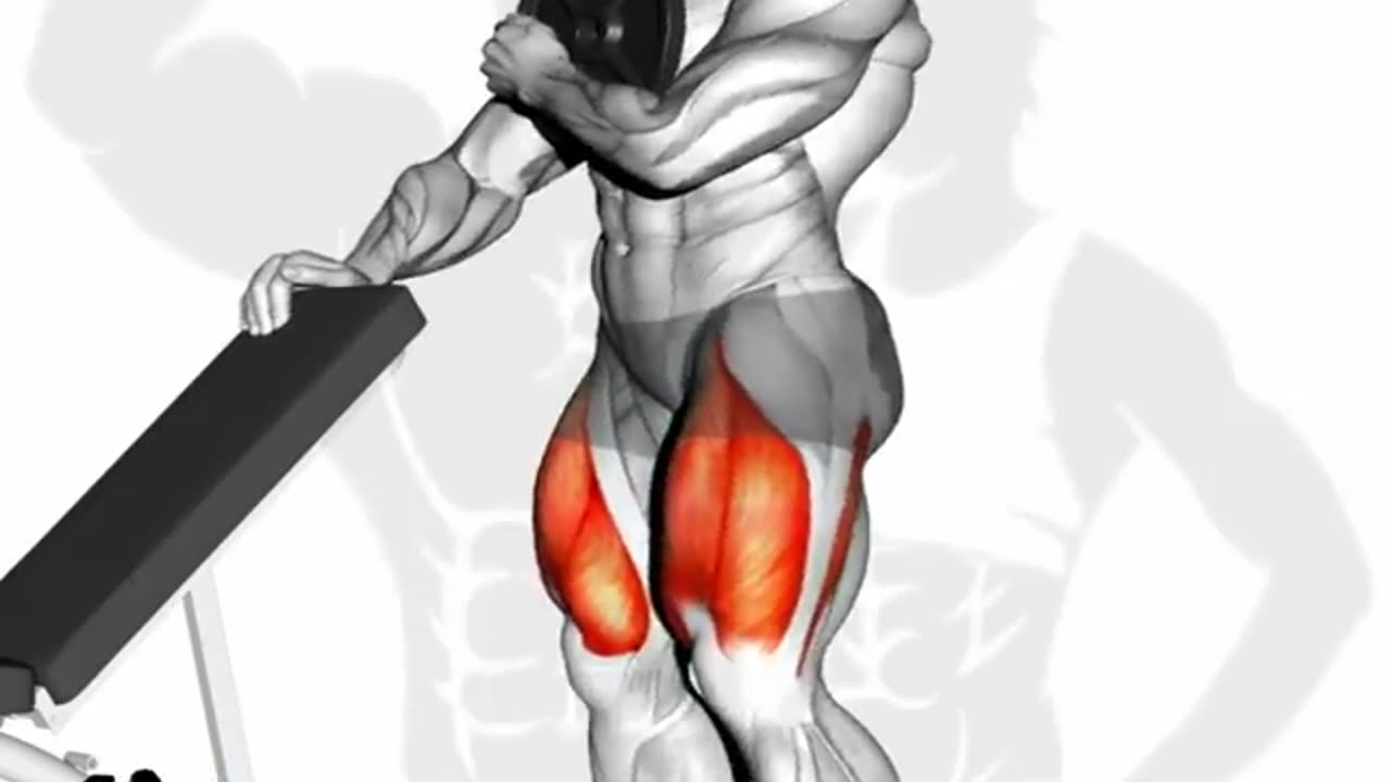 HUGE LEGS WORKOUT!
