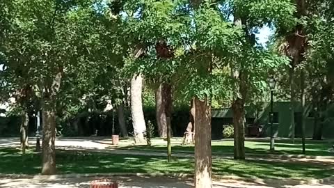 picnic in the garden