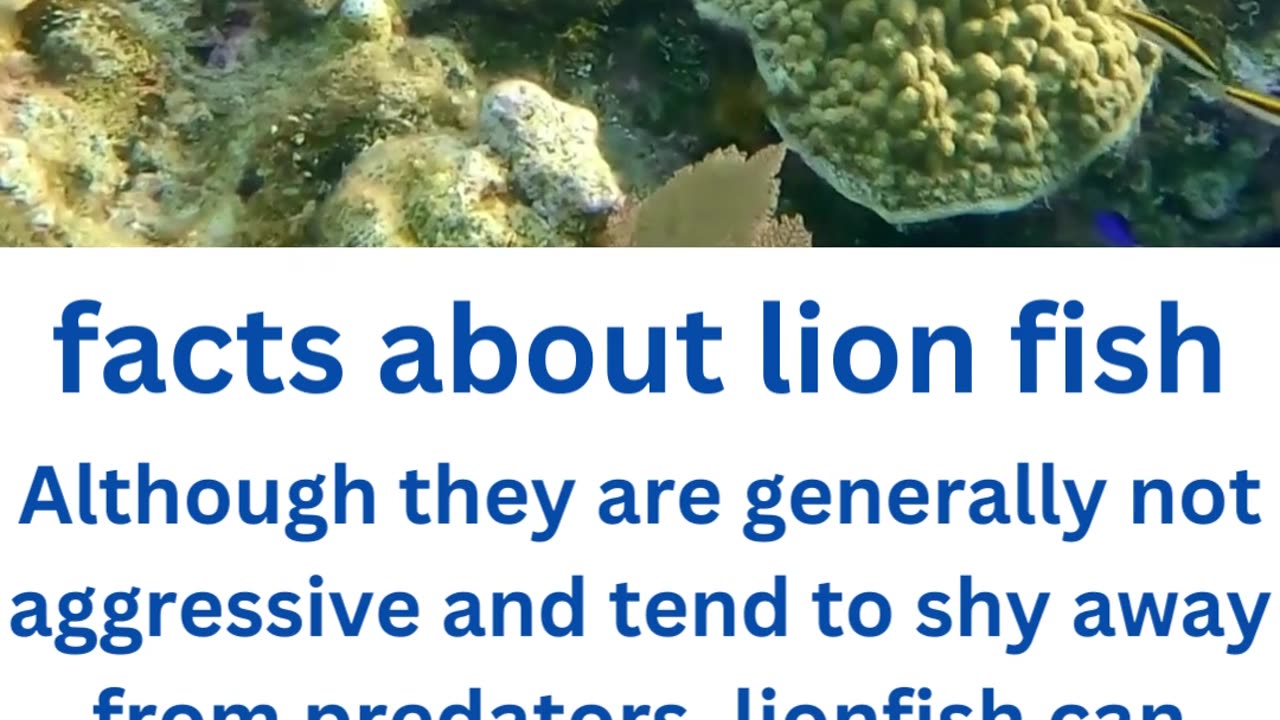 facts about tiger shark...7/13