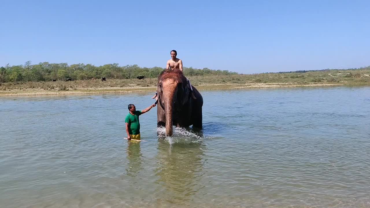 Addo National Park video - (Elephants; Lions; Buffalos; Kudu and many other wildlife