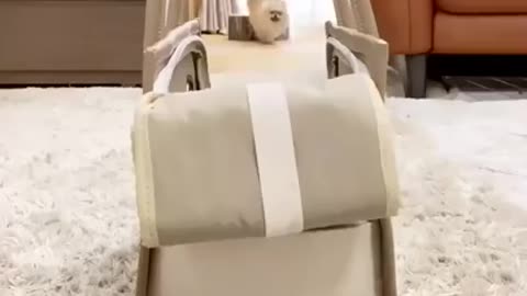Play with puppy