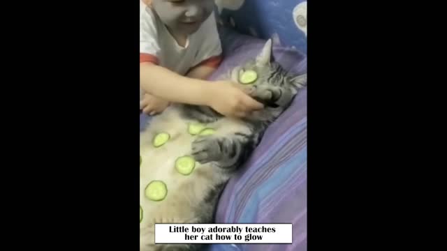 Little boy adorably teaches her cat how to glowing