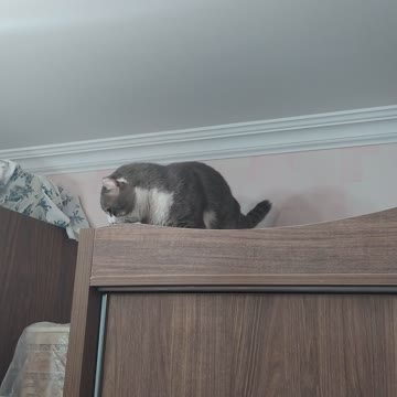 he doesn't listen to me