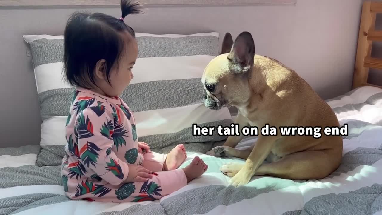 I CAN'T BELIEVE IT My Dog Sings To Our Baby
