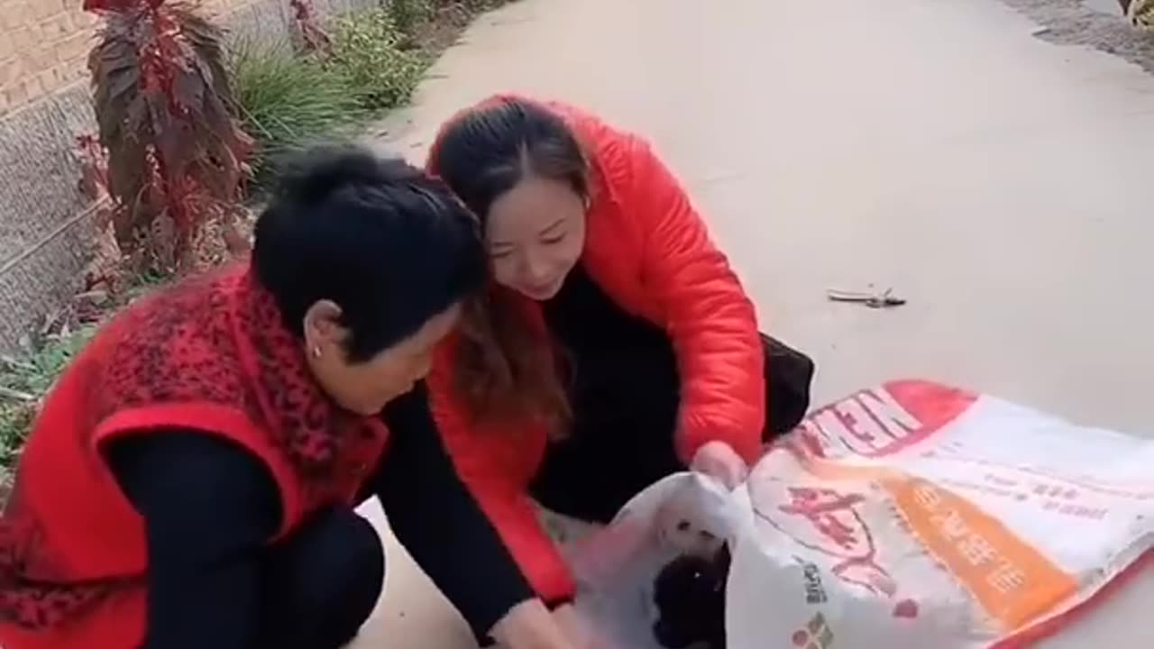 Best Funny Videos 2022, Chinese Funny clips daily