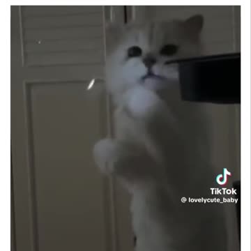 Using all your senses to discern the truth