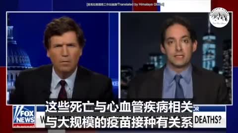Fox 新聞：歐洲兩大高疫苗接種率的國家(英國、德國)死亡率增加？ 嗯⋯⋯