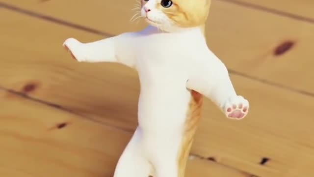 Cat Cute Dance Video