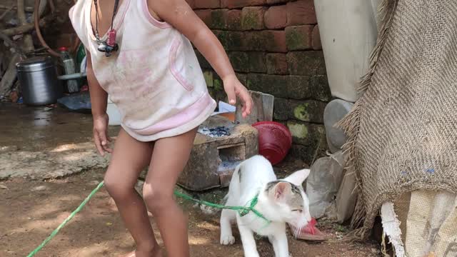 How a kitten settled in a village life