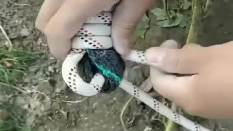 Tie the rope in an amazing way.