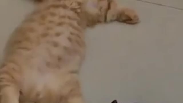 Reminds me of my friend Ed!