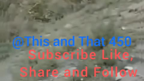 My God very Dangerous Reall Video| Most watch this video| please Follow Like and comments