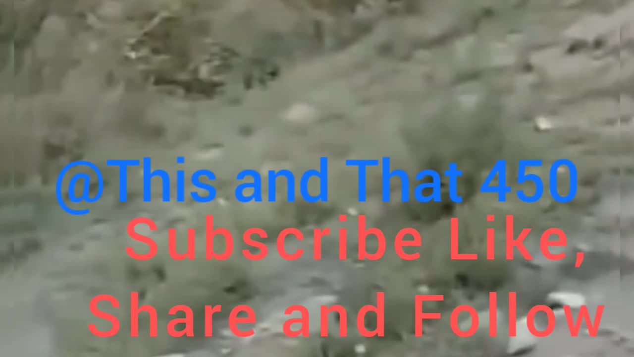 My God very Dangerous Reall Video| Most watch this video| please Follow Like and comments