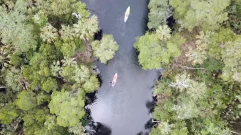 Coconut Kayak Tours