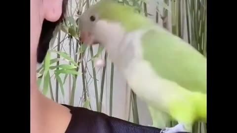 Funny animal videos every day! 🐶🦒🐰🐨❤💖