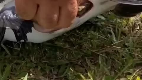 Garrafa Pet no Peixe...