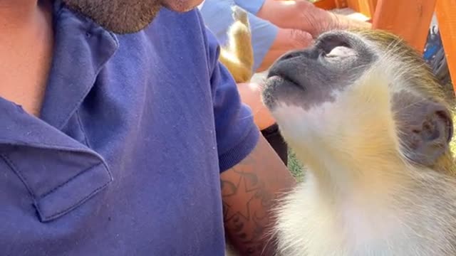 Nothing like kisses 😘🐒