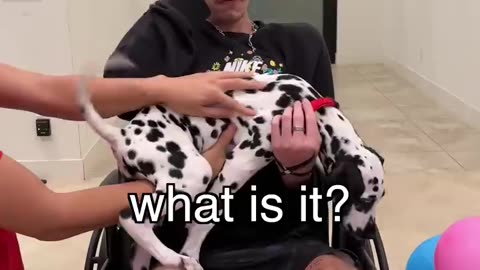 I Bought The World's Rarest Puppy