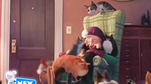 Animal love : Human-animal ❤️..affectional relationships ..