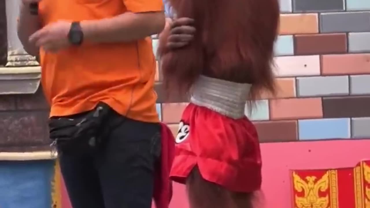 Orangutangabangalang