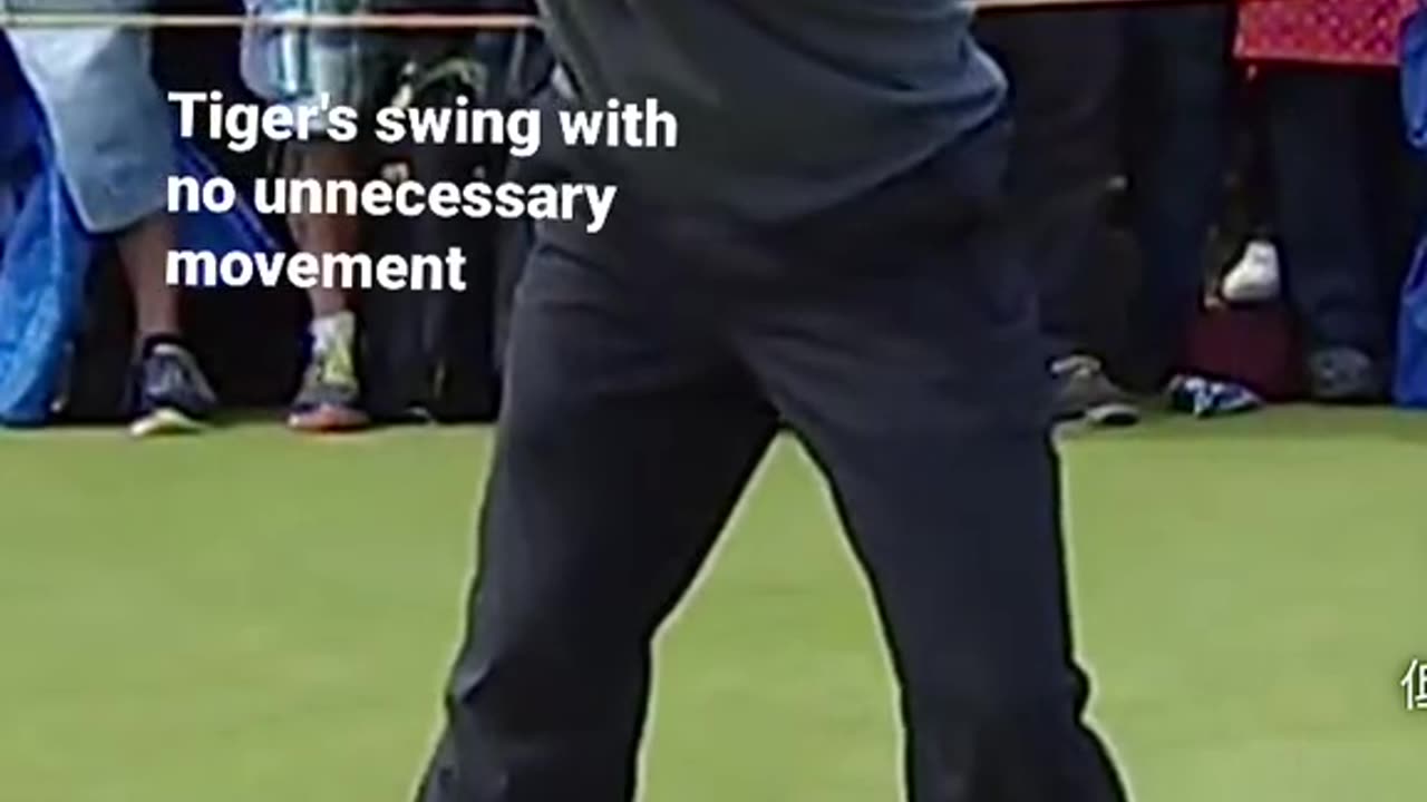 No unnecessary moves by tiger wood