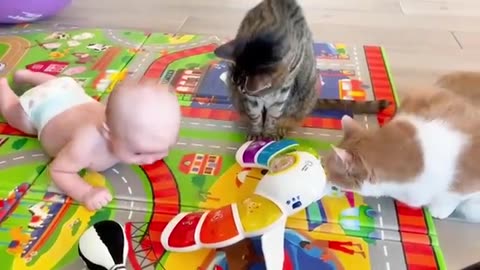 Funny baby and pet