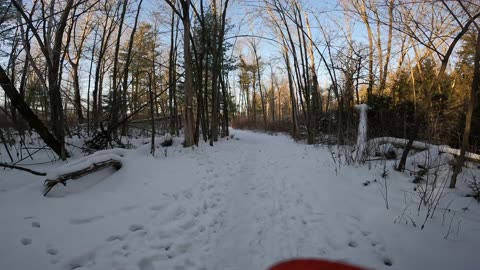 ❄️⛄🏂🎿 Winter Wonderland Edition ☀️🌴 Hiking Pinhey Forest Part 2 In Ottawa Canada 🍁☀️⛄