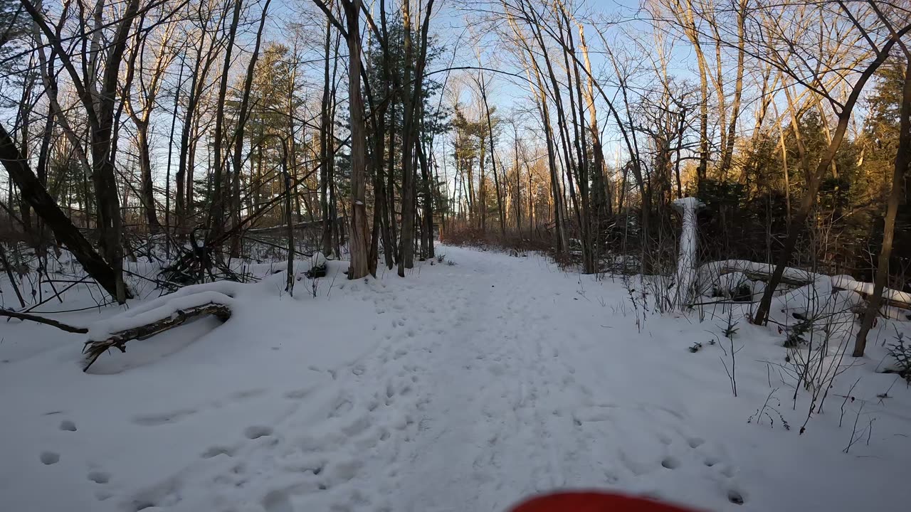 ❄️⛄🏂🎿 Winter Wonderland Edition ☀️🌴 Hiking Pinhey Forest Part 2 In Ottawa Canada 🍁☀️⛄