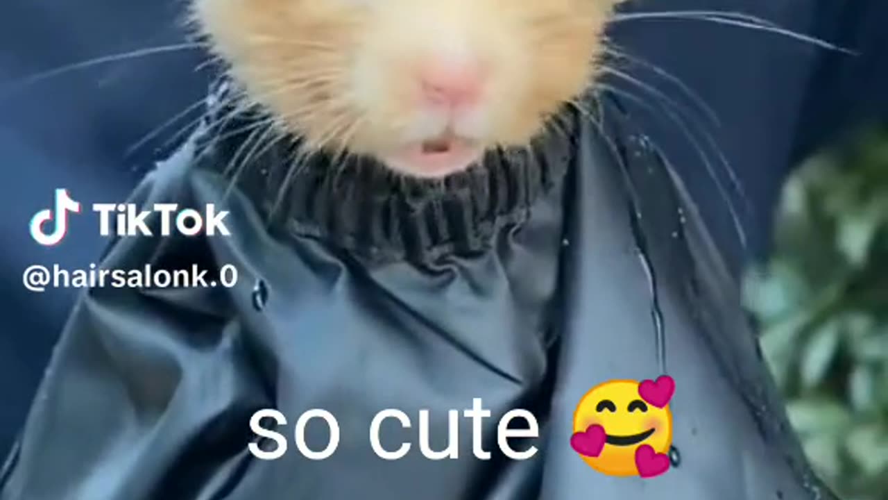 Op video