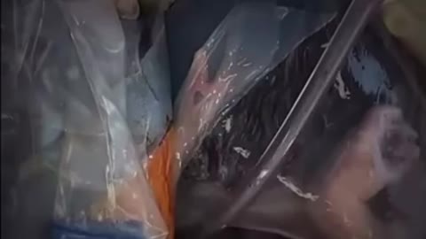 The miracle of life