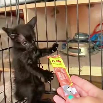 Soo cute I love it 💕💕💕🥳🤣